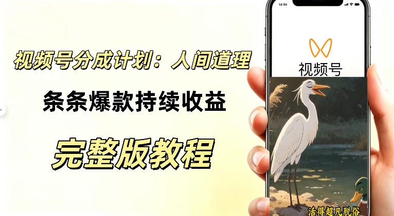视频号新玩法之AI动漫画风励志视频,不用会画画、不用拍摄,持续化收益,详细拆解-萌芽网创副业资源站